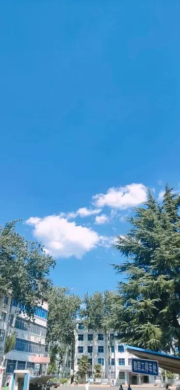 当代都市女性晚婚现象的背后，折射出复杂的社会心理。信息时代的择偶标准被过度物化，