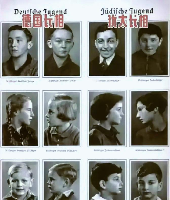 《二战时期德国人和犹太人的对比海报》
德国法西斯为了切实镇压夺取他们财富的犹太人