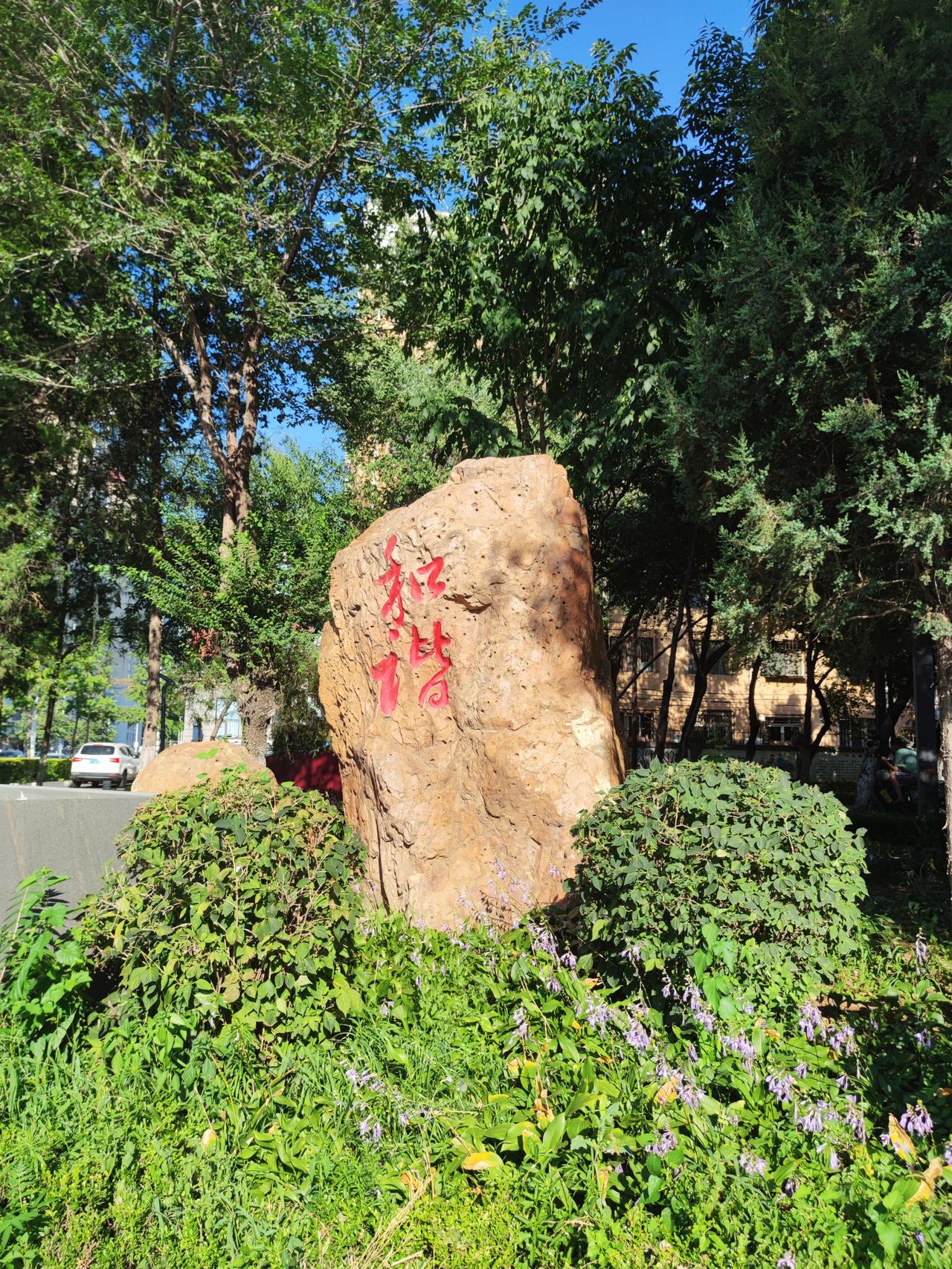 街边的景色也美丽。日前路过沈阳市府大路，在北市场处随拍街景一组。