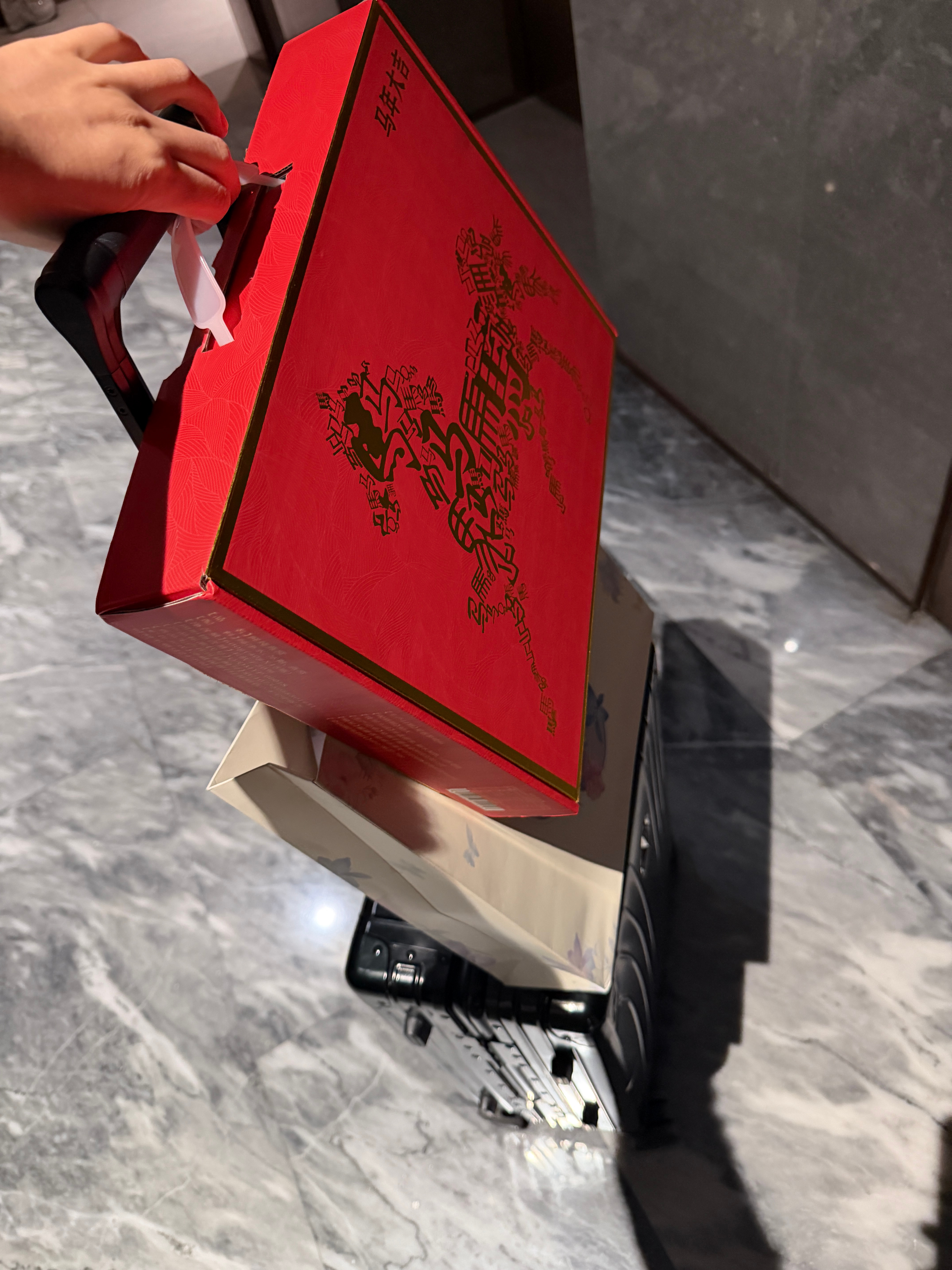 哈哈母亲节品 带了一堆东西去朋友家 借一下妈妈出境