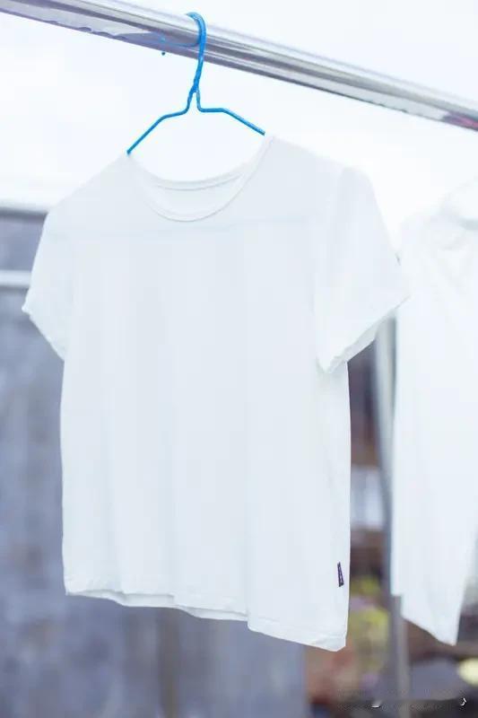 全网寻找同频之人。
[呲牙][呲牙][呲牙]
今天早晨有点时间，
也爱动，
就把