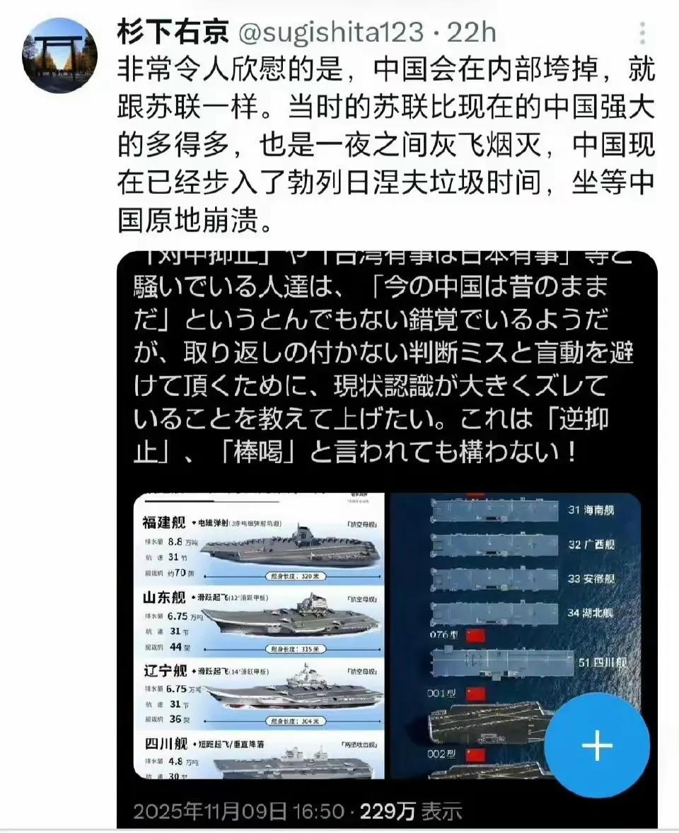 中国就是在它们鼓吹马上要崩溃中发展起来的。经济是王道，军事是王道之基，两道相辅相