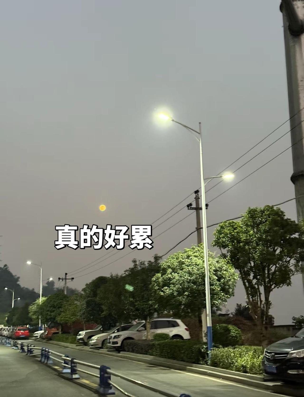 2026年1月5点凌晨两点 我的痛苦超出了我的承受范围了