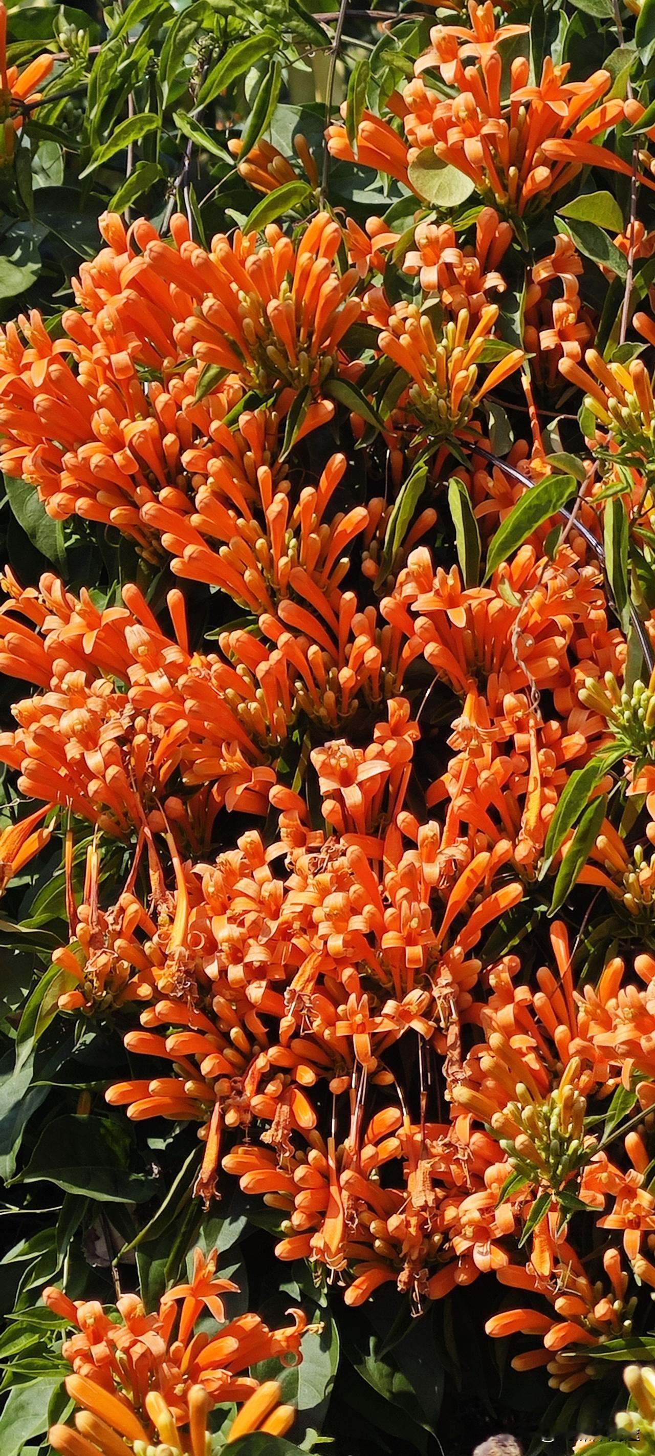 分享你的随手拍漂亮