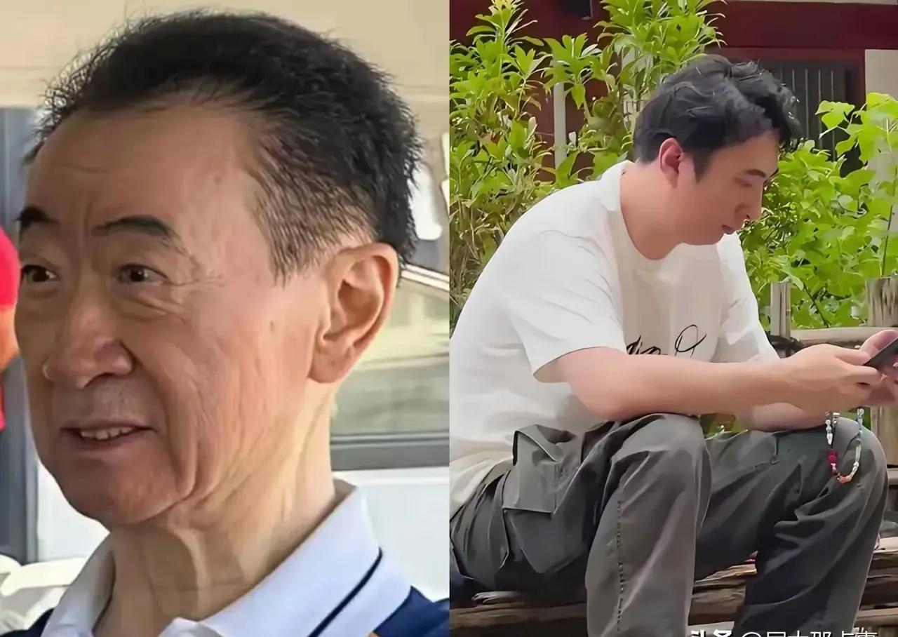 王健林很难东山再起了，从2017年起，他就一直在处置万达的资产，连王思聪也很少更