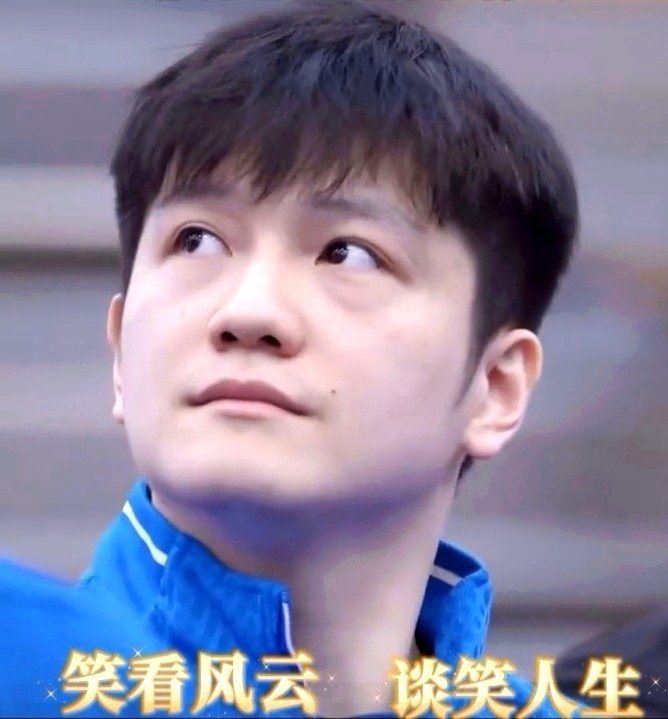 这条路上，跪着的人太多，跪得久了，连站起来都觉得是失礼。而樊振东——他这一路，竟