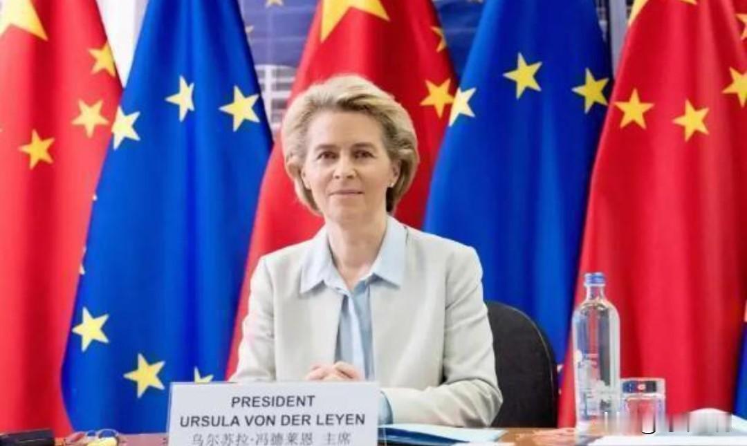德媒称，在冯德莱恩呼吁对华去风险化两周年之际，欧洲非但没有减缓对中国的依赖，反而