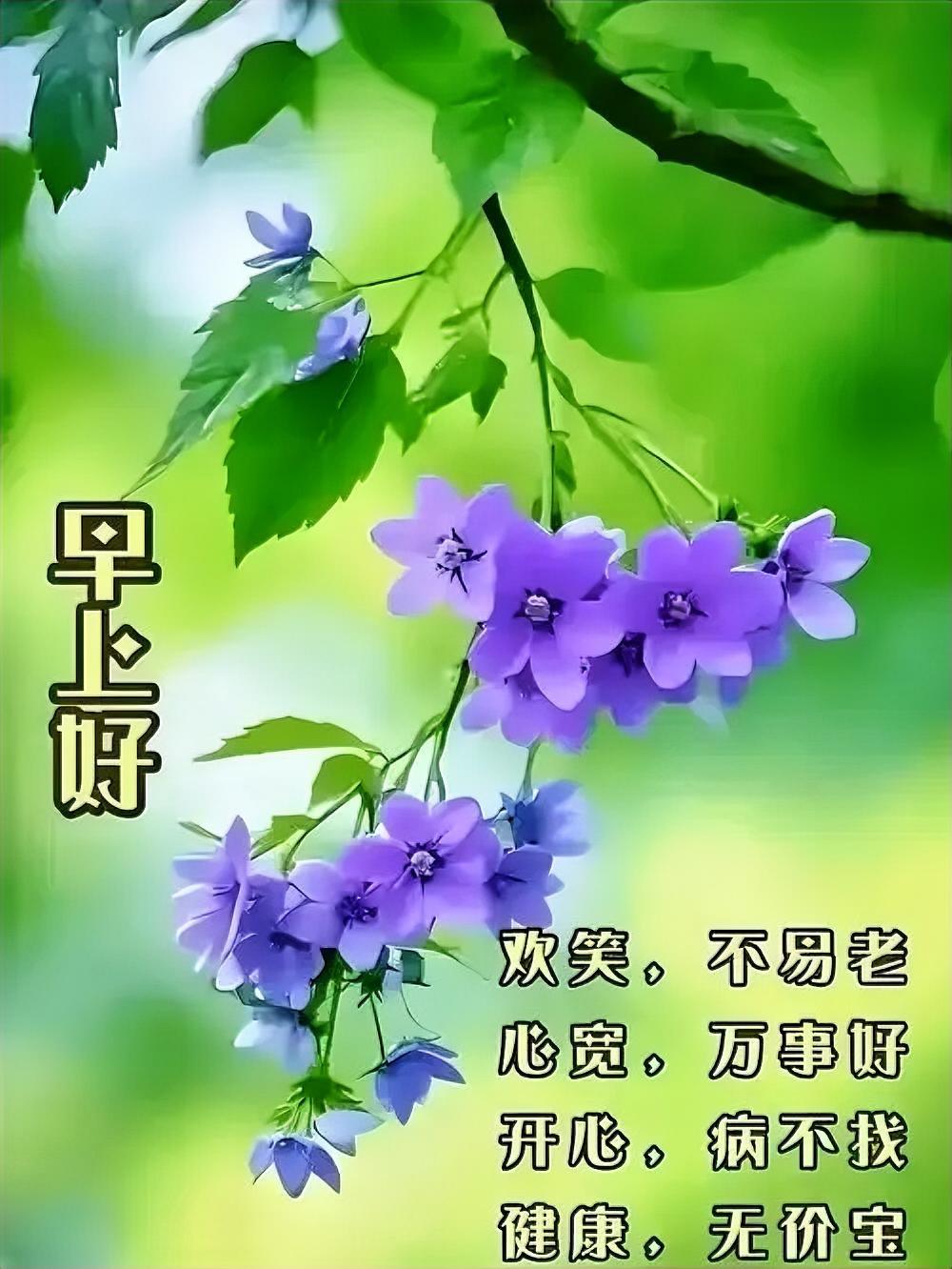 笑口常开人不老，心宽体健无价宝。