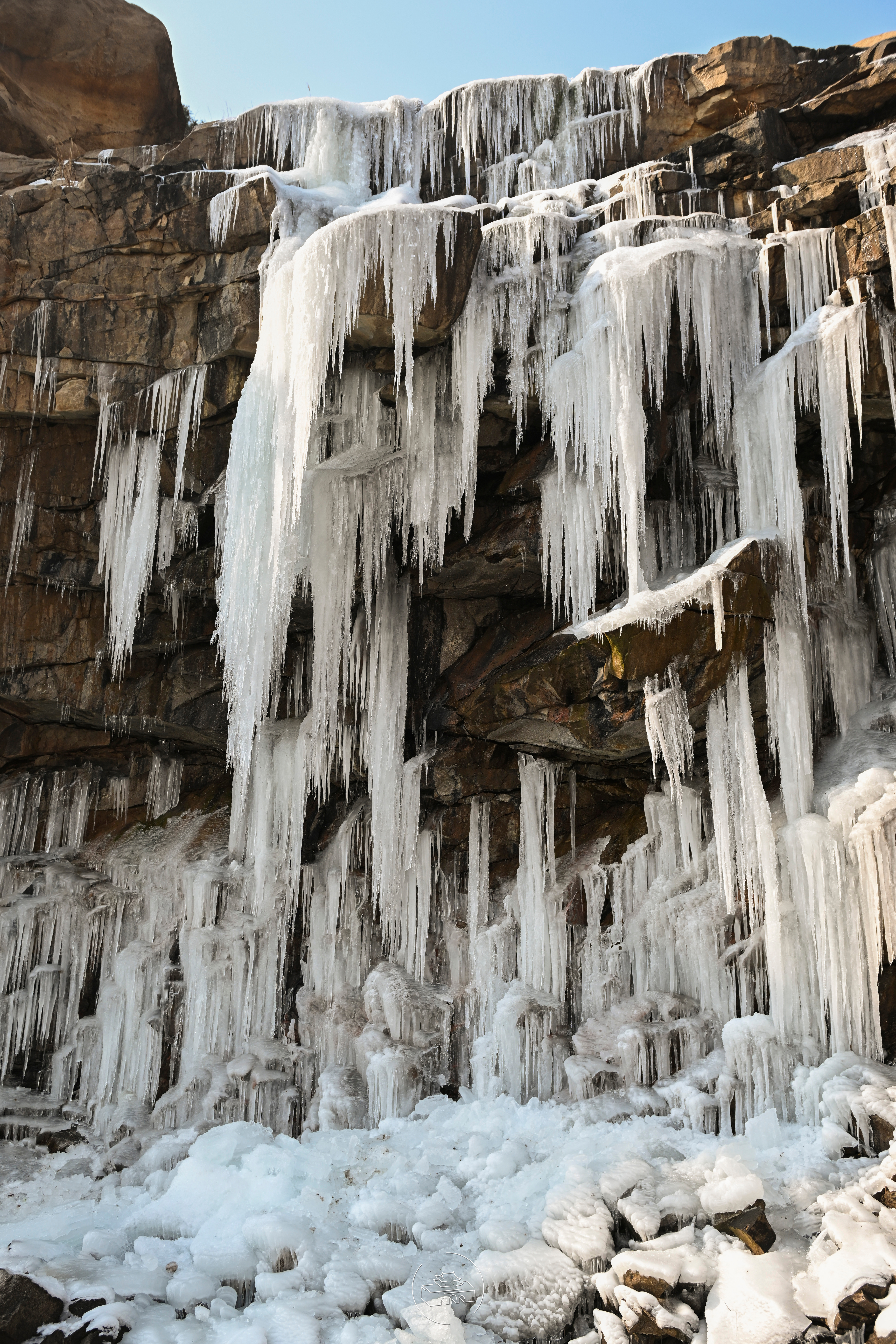 已是悬崖百丈冰 犹有花枝俏 