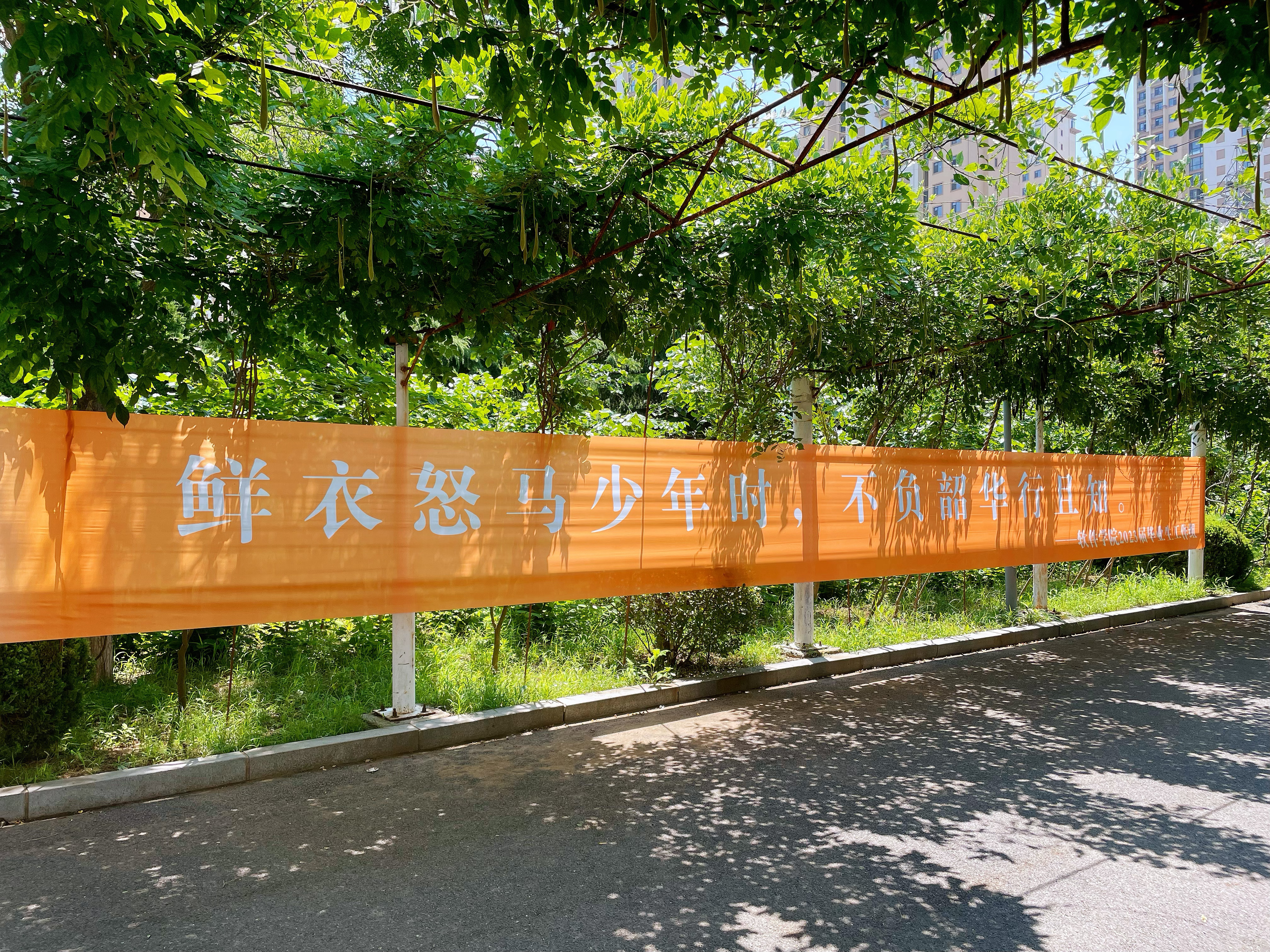 #高考不理想该不该复读#复读的压力挺大的，不知道一般人是否能承受。对我个人来说，