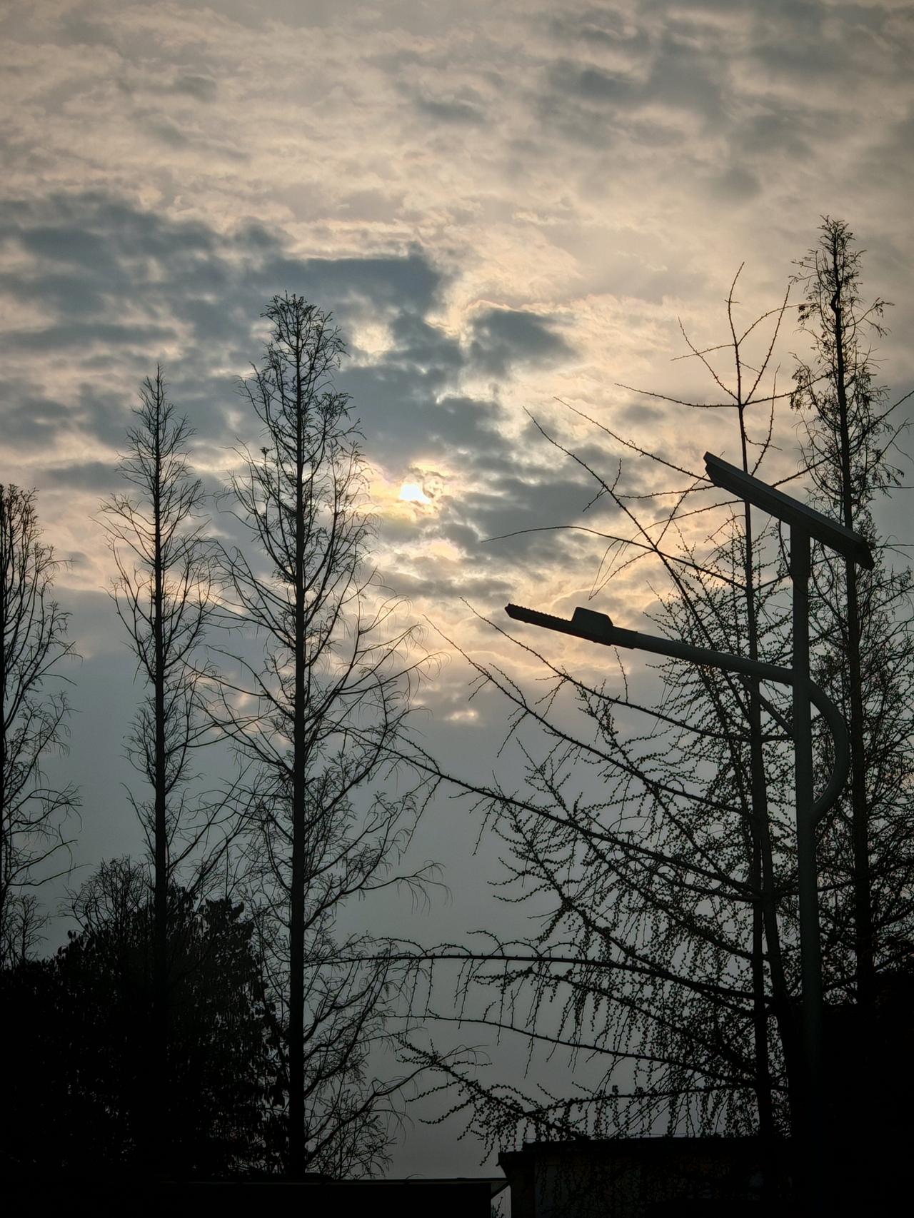 天气越来越温暖