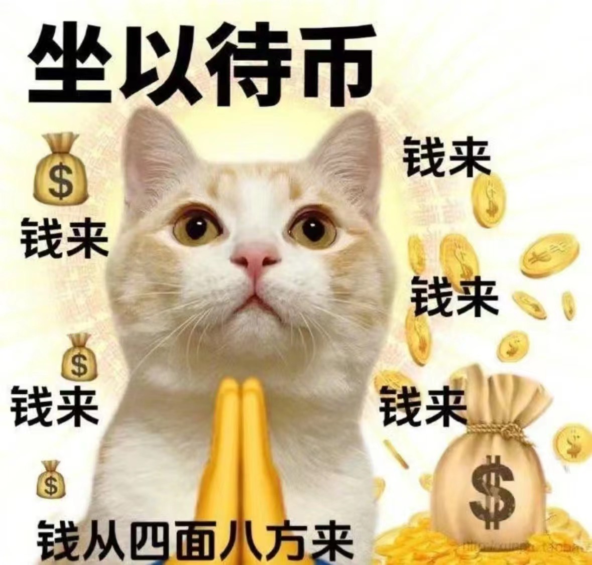 #每天一条冷知识# 摸完硬币后手上的金属气味实际上是人体汗液与金属表面发生反应的