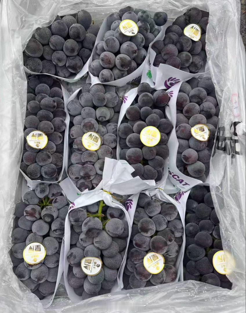 超爱吃蜂后葡萄🍇真的好甜 夏天冻起来冰冰凉凉 