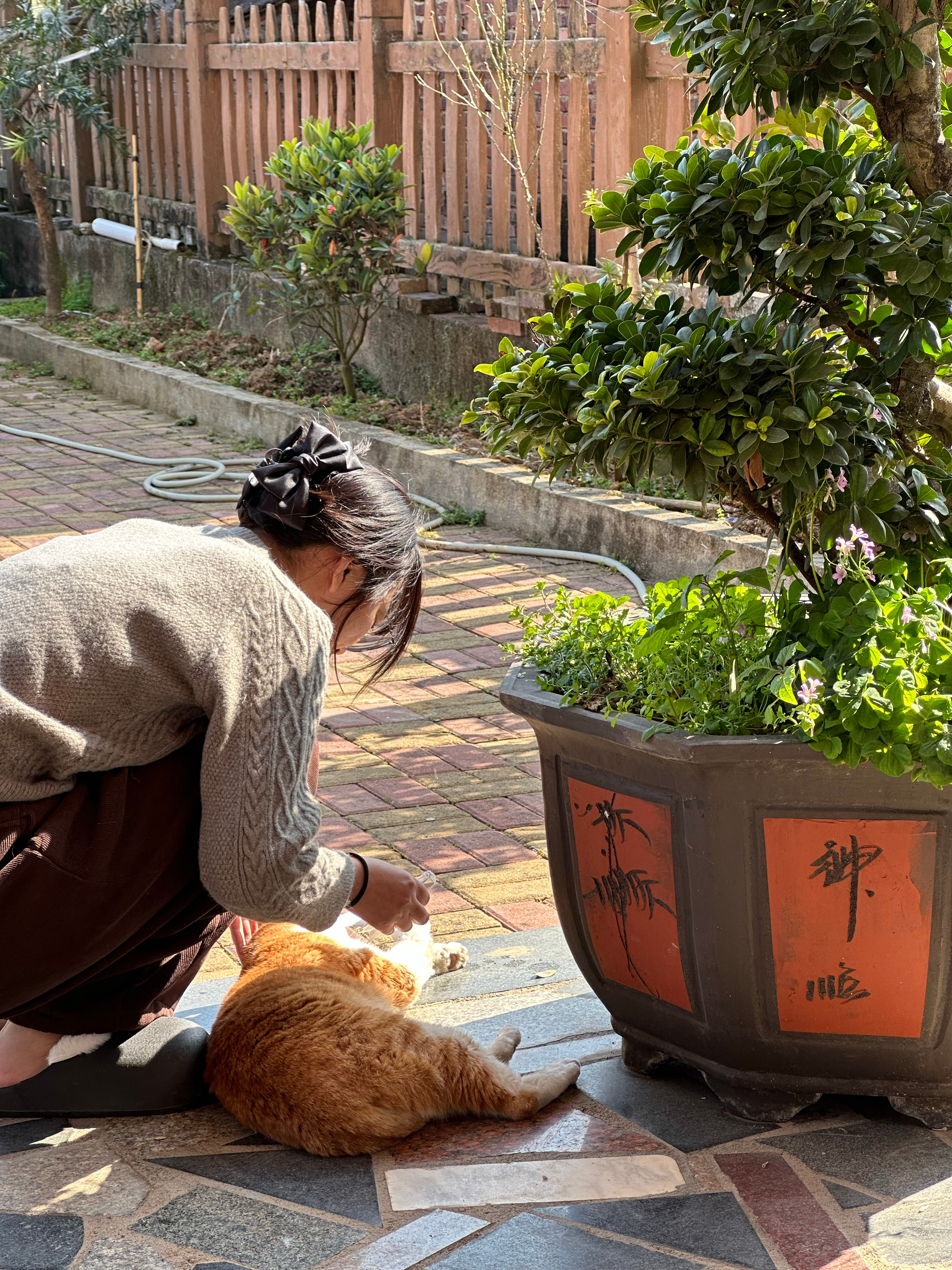 今天还没开工在朋友家睡了个回笼觉现在才醒晃悠悠出门晒太阳撸撸猫幸福感打败全国90