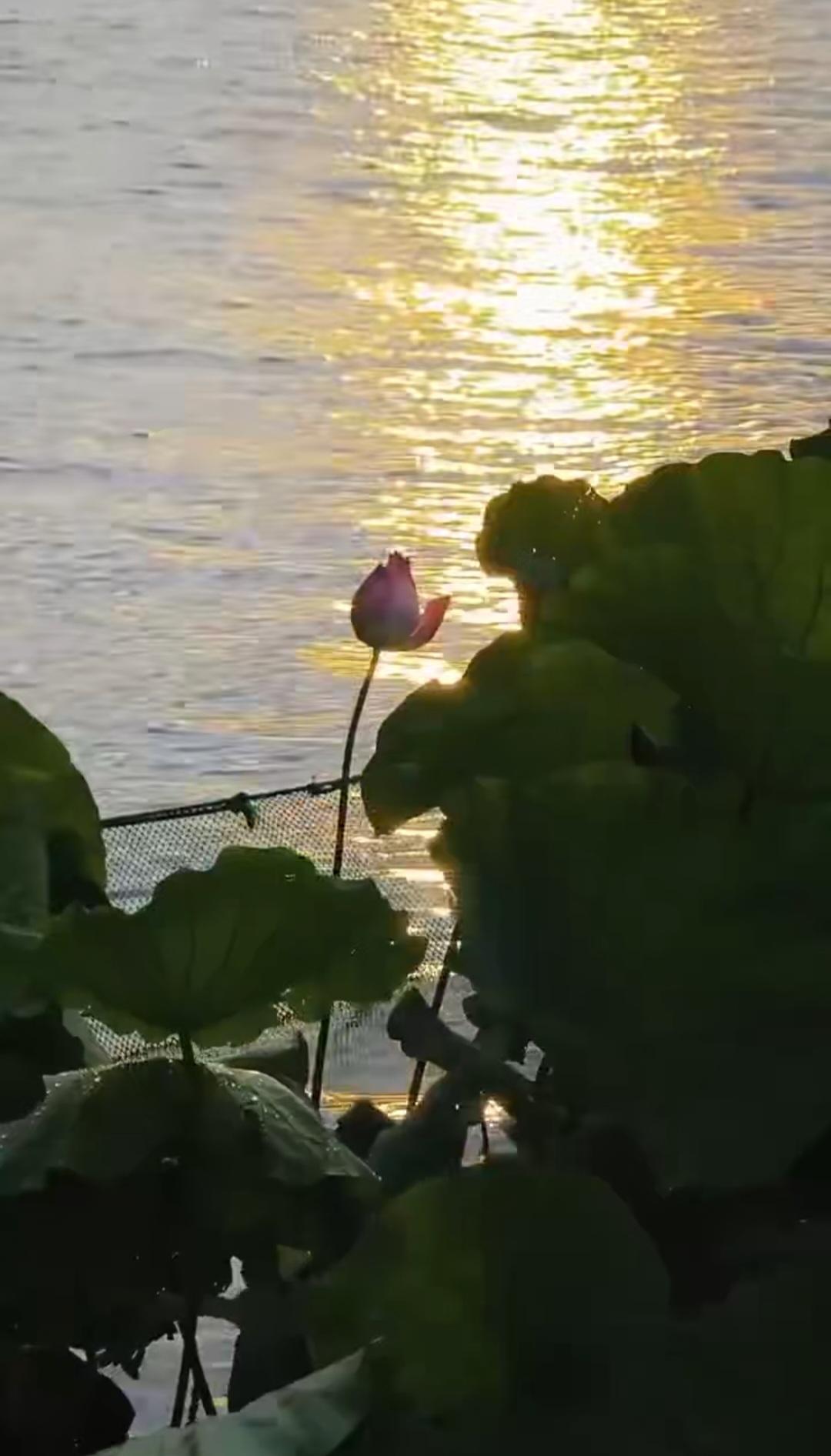 分享你随手拍的风景