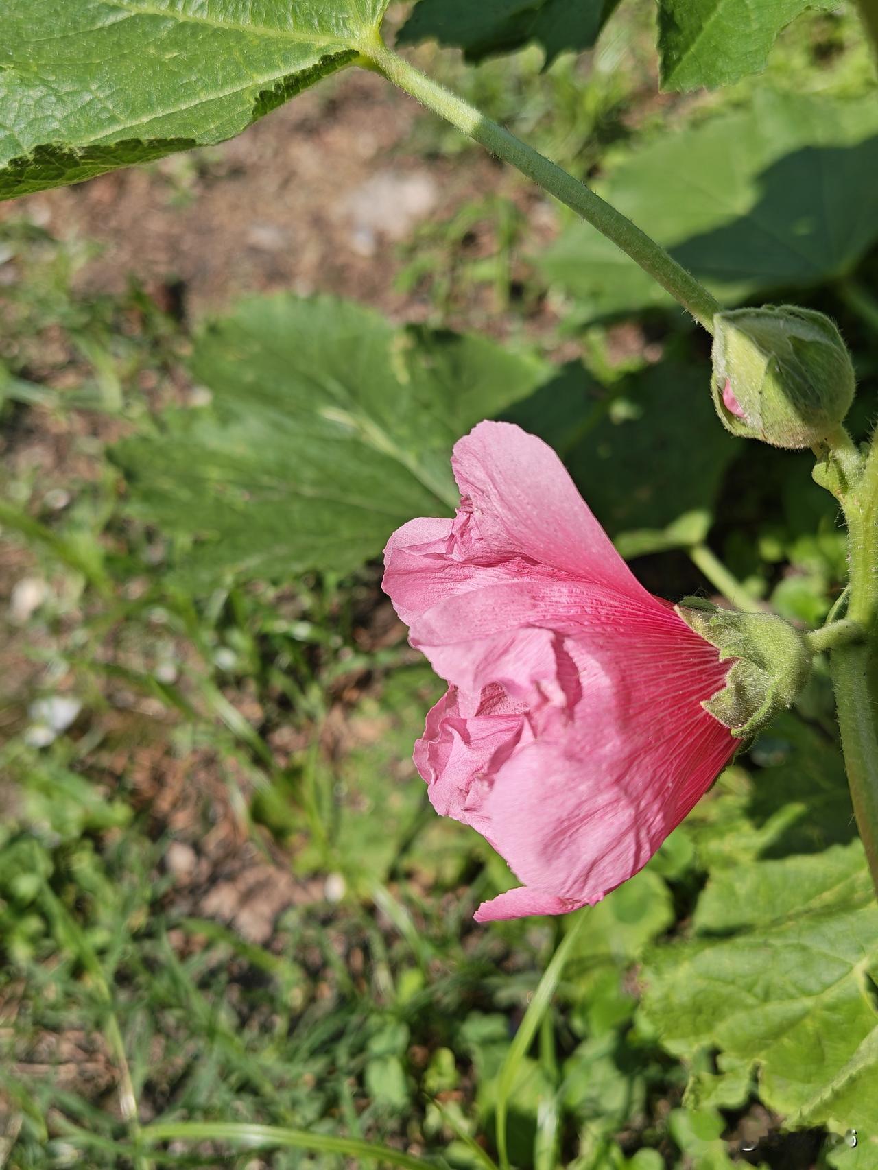 我认为越少越好，现在很多人都在追求“人脉”，但真正能交心、懂你、不消耗你的朋友，