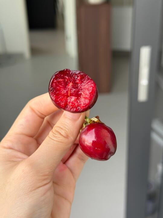 没吃够小樱桃的快来吃露天车厘子吧