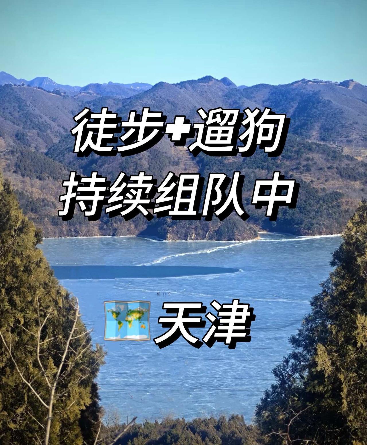 天津狗友 组队徒步+遛狗
不限狗狗大小  户外徒步
天津近郊遛狗，不用开车，不用