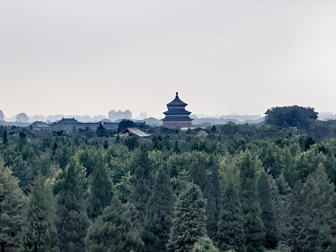 观坛观天下