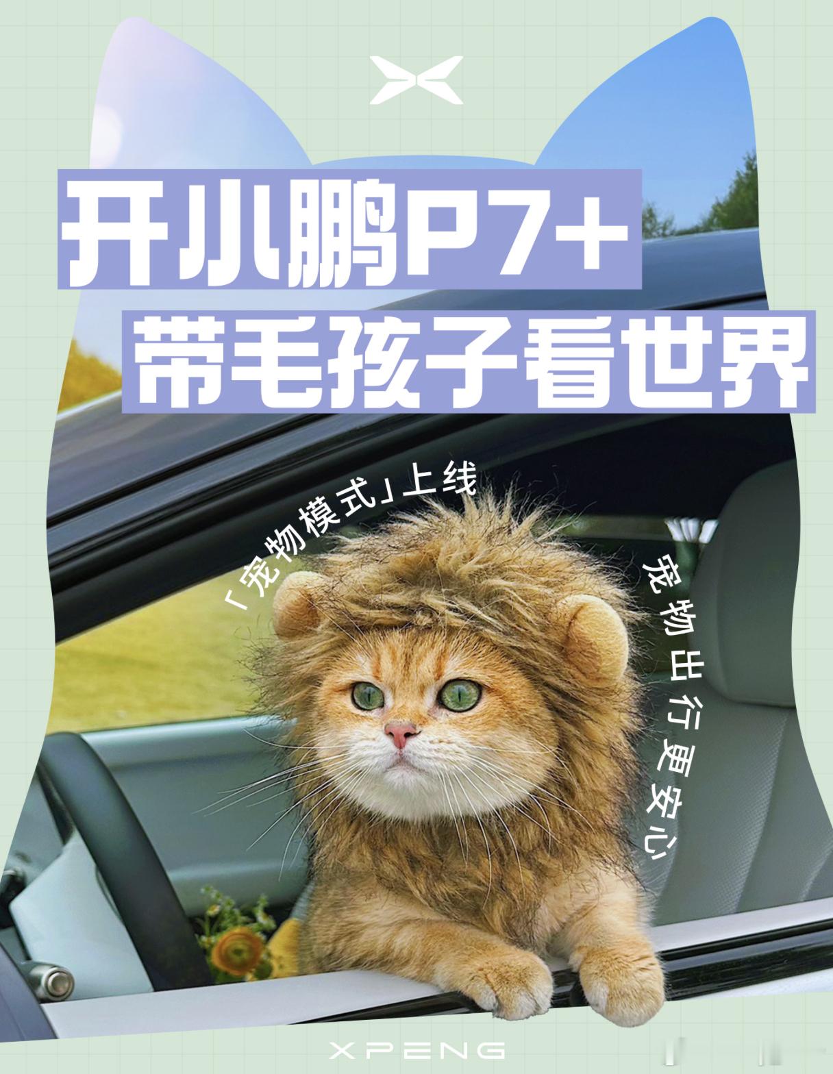 小鹏的宠物模式终于推送了，现在对我来说车上有宠物模式是真的必备，因为带着宠物出门