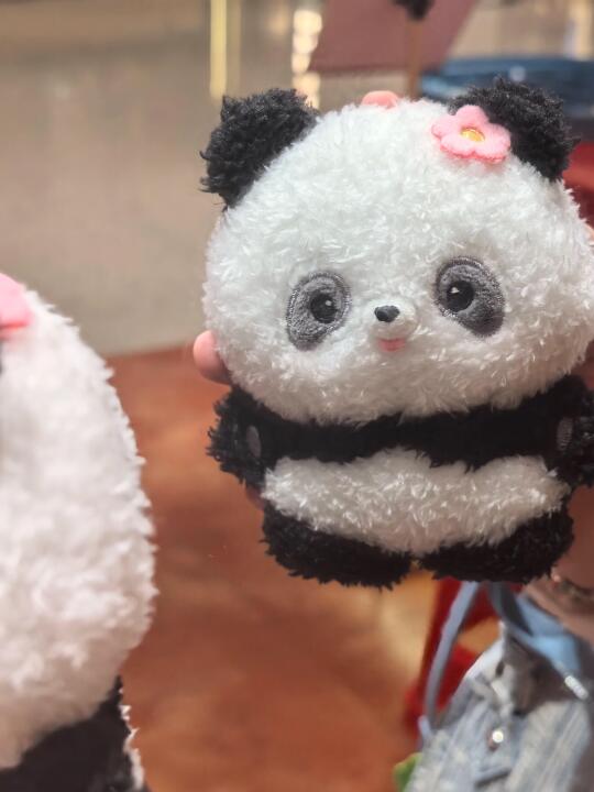 啊啊啊！！谁能给我这只大熊猫花花的信息呀