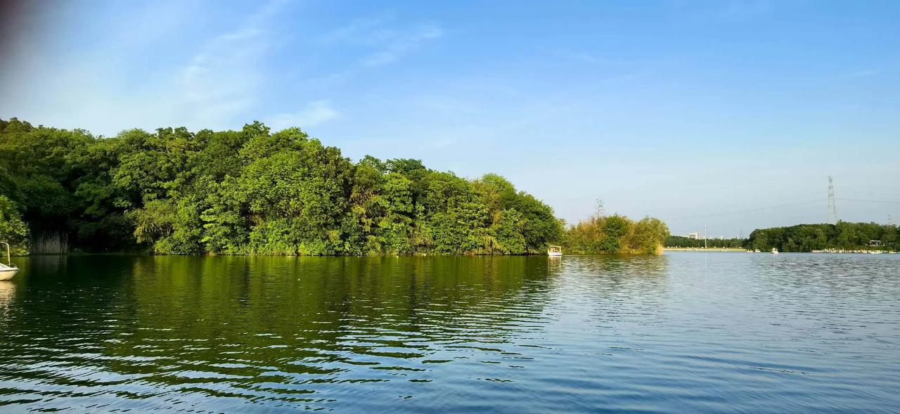 中医本是高维科学，不被很多现代人理解和认同～～

（江苏省人民医院梅花独秀医生）