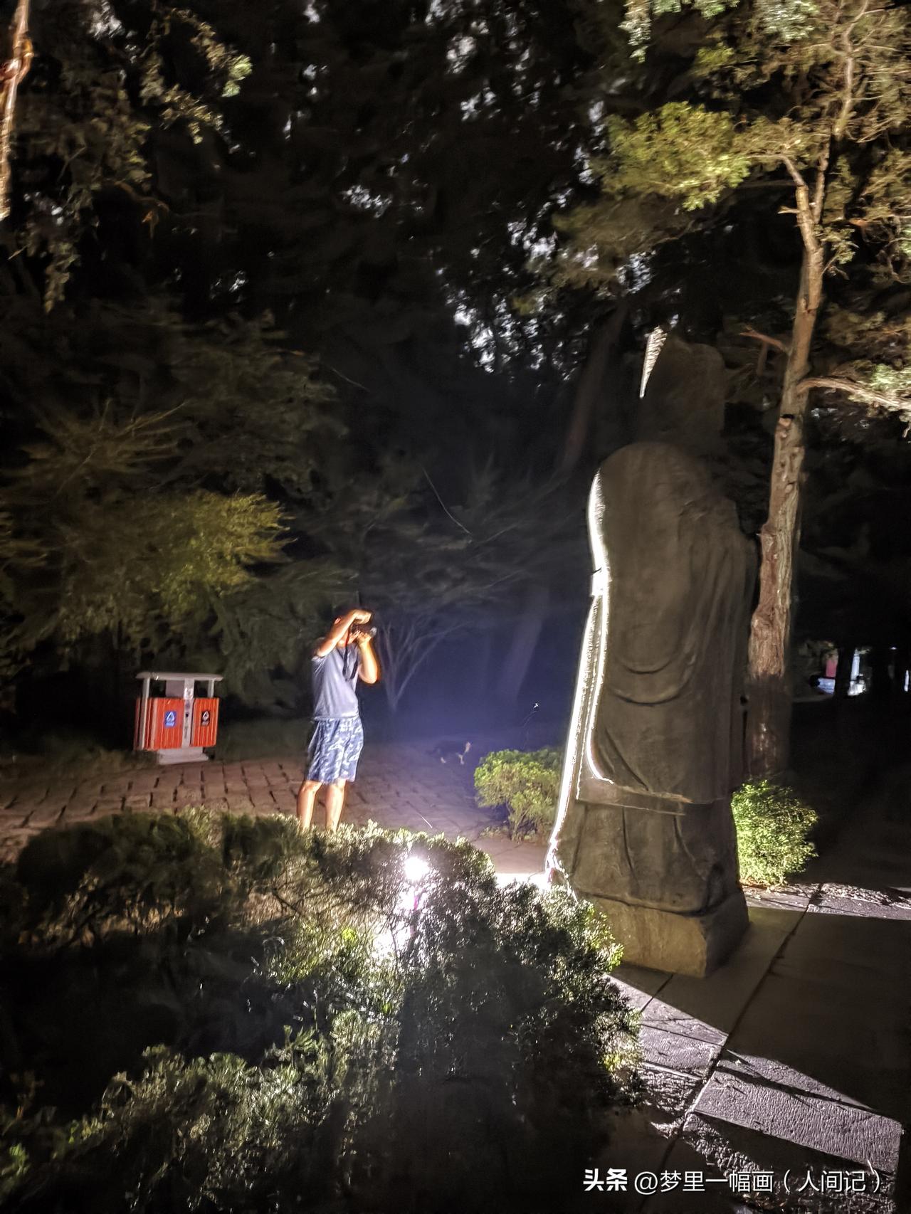 分享你随手拍的风景南京明孝陵翁仲路（石人路）夜拍的摄影爱好者[赞]
