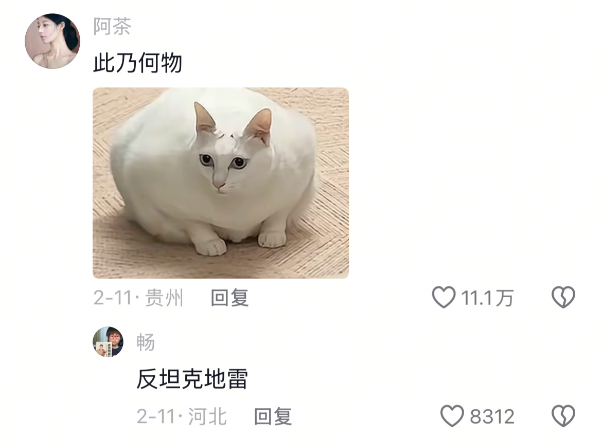 谁懂打开评论区的无力感。 