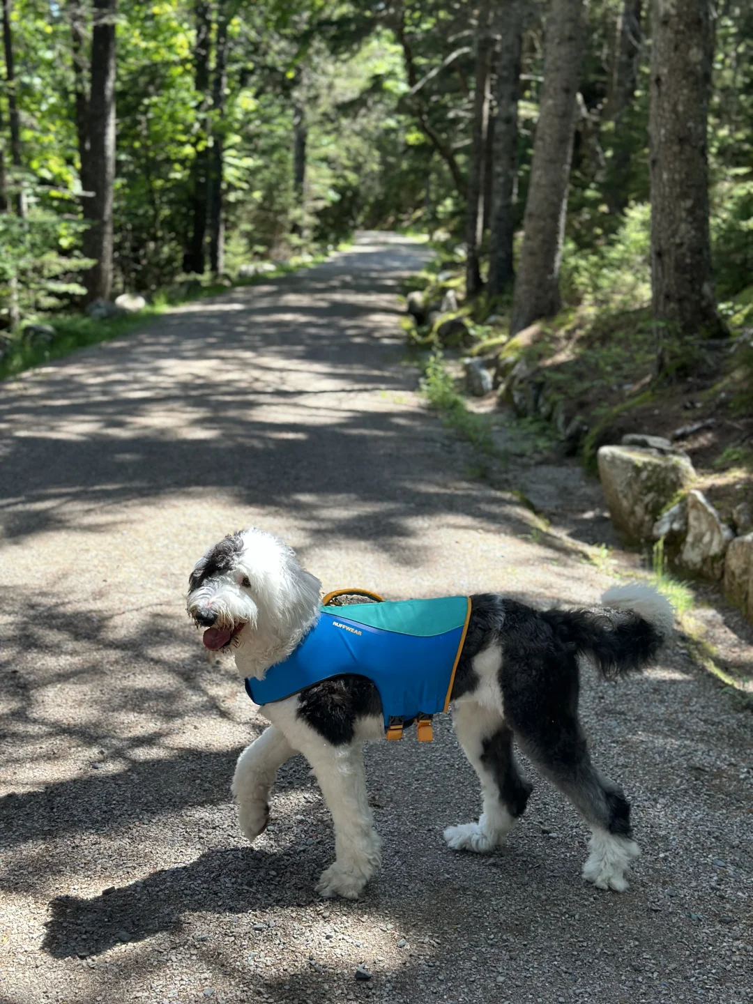 当律师想成为医生…