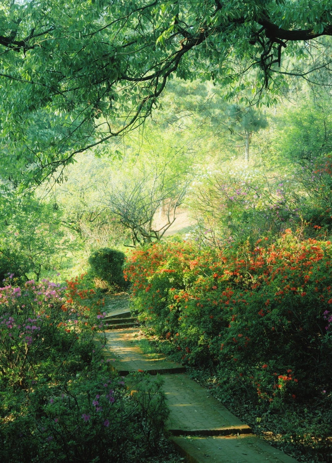 暖风不燥，橘猫为瓦片点上梅花烙，三月恰逢少年游，乌篷载酒水清窈。风迢迢，山姣姣，