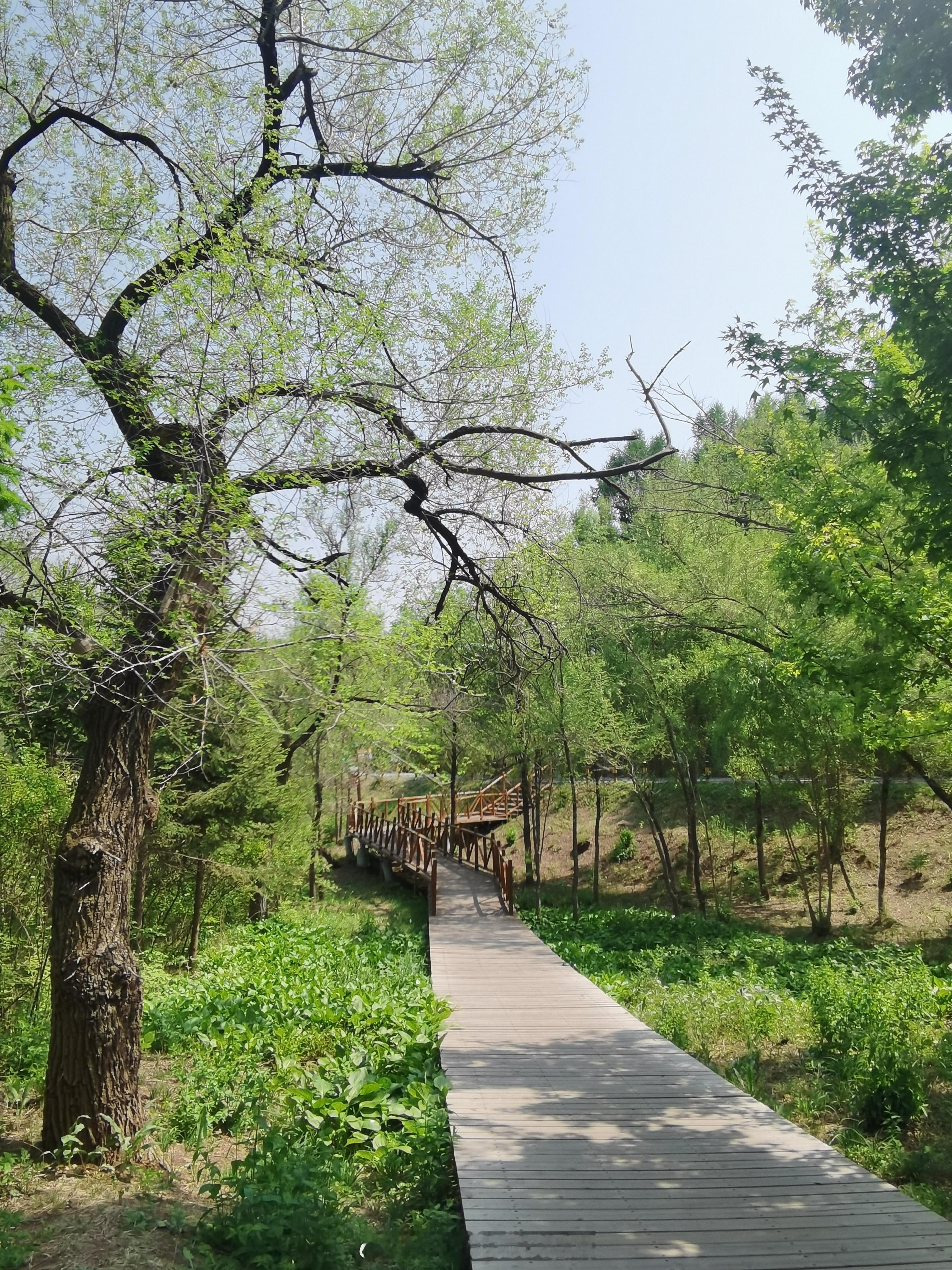 早安～新的一天如约而至，愿今天少些忙碌多些轻松，事事都顺心如意！ 长春