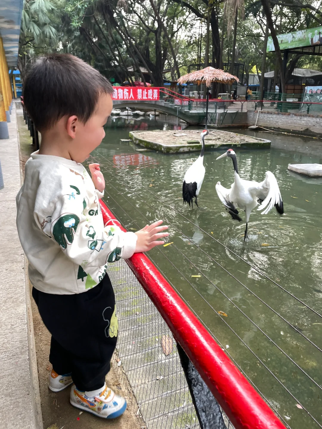 千万不要把孩子养得太老实‼️