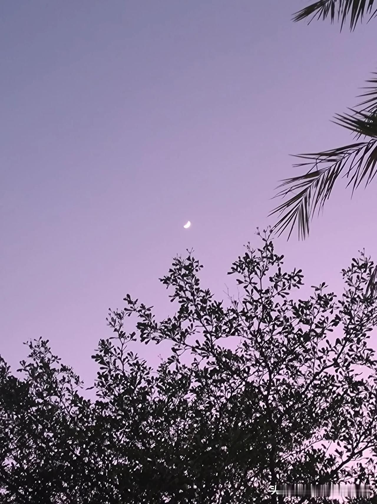 麻绳专捡细处断。
晓月当空，燕雀归巢。
终于到周末有空刷刷抖音，虽说现在短视频都