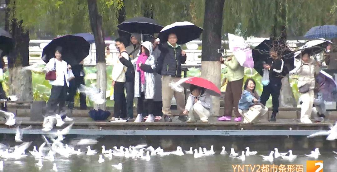 【冷 ҉҉҈ 冷 ҉҉҈ 冷 ҉҉҈ 🥶断崖式降温！昆明主城狂降10℃！雨还要