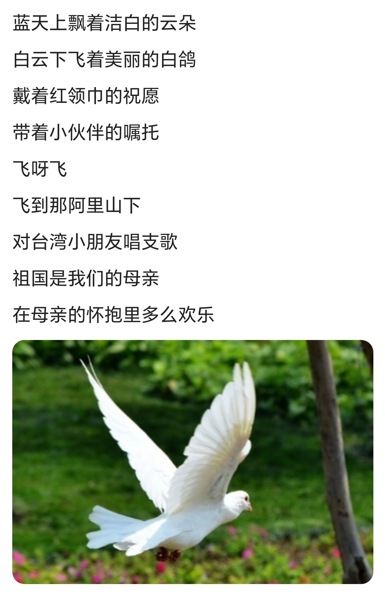 一劳永逸解决台湾问题记得上小学时，老师教了一首儿歌《飞吧，美丽的白鸽》，这是第一