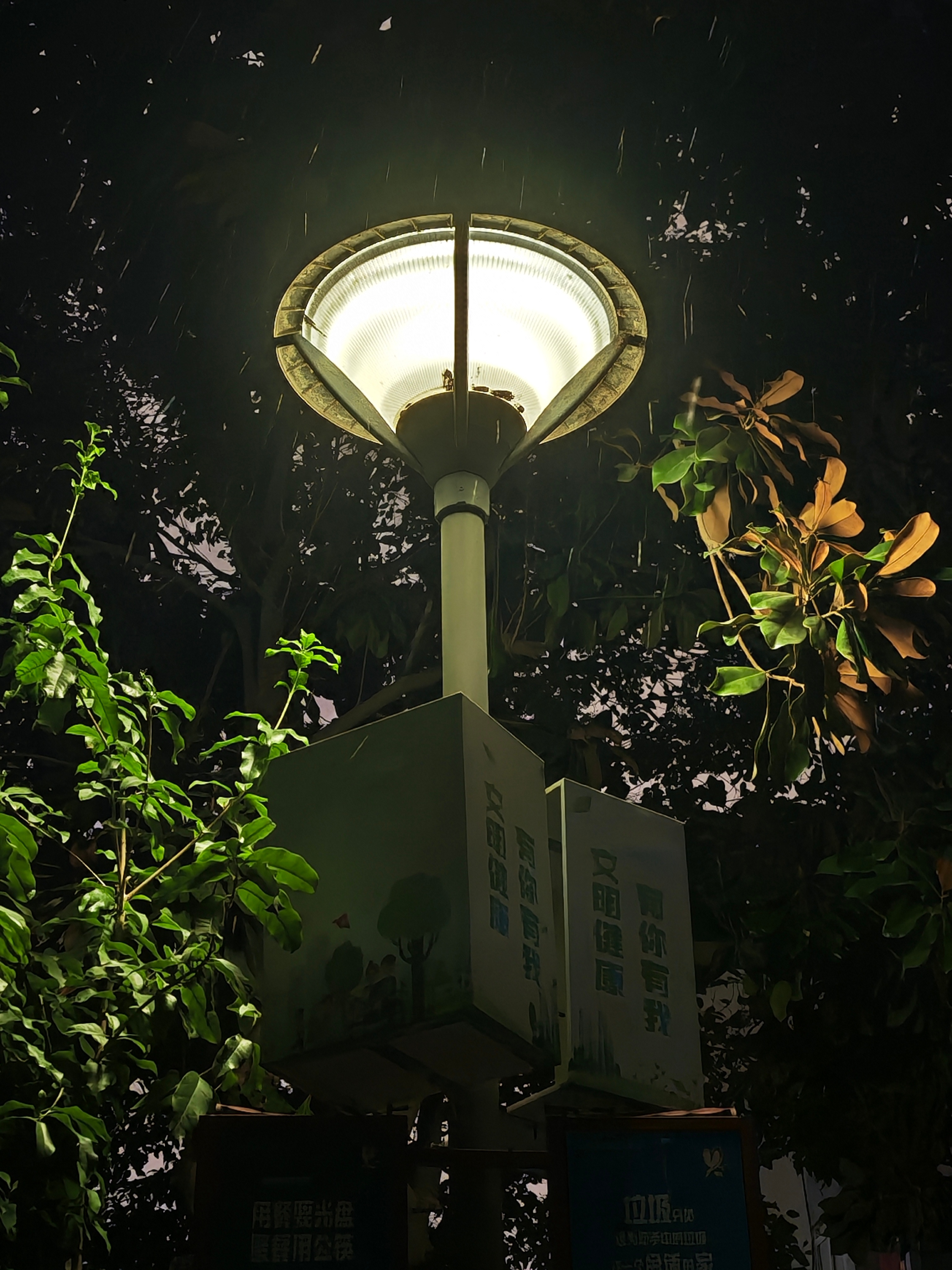 宁波下雪市区终于下雪啦！ 