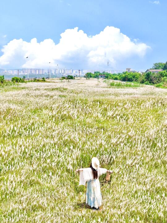 哇塞‼️快去拍只在夏天出现的发光草海🍃