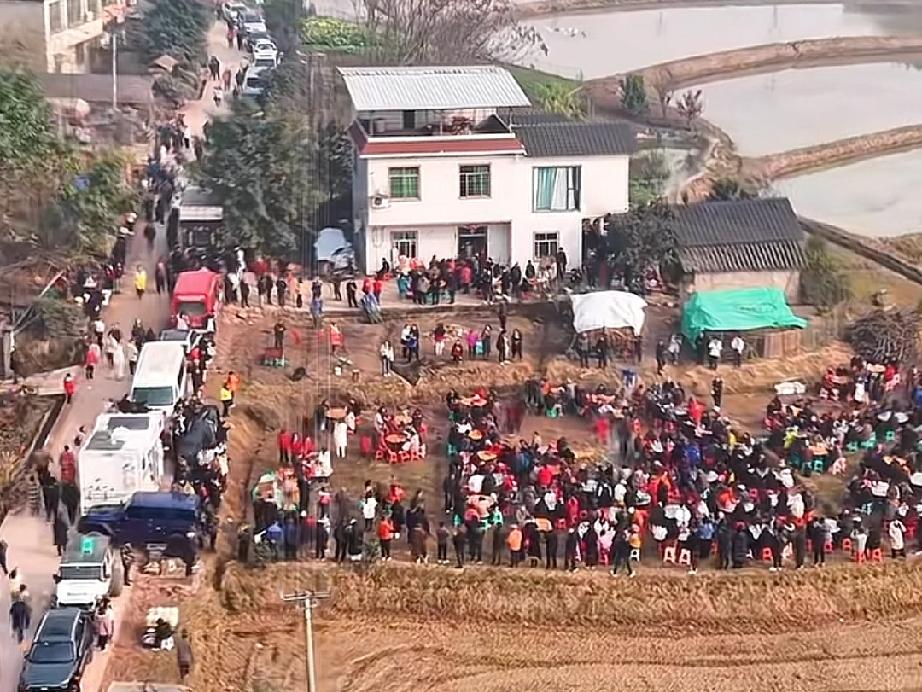 一场意料之外的乡村派对：

呆呆：家有年猪要杀，有来帮忙按猪的么？

网友：兄弟