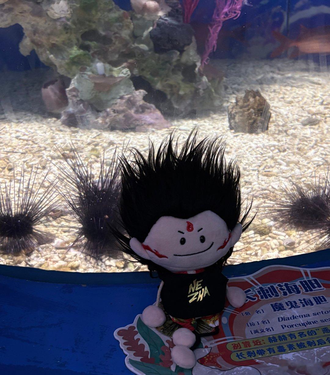 今天是和友友们去看饼饼的子民！ 