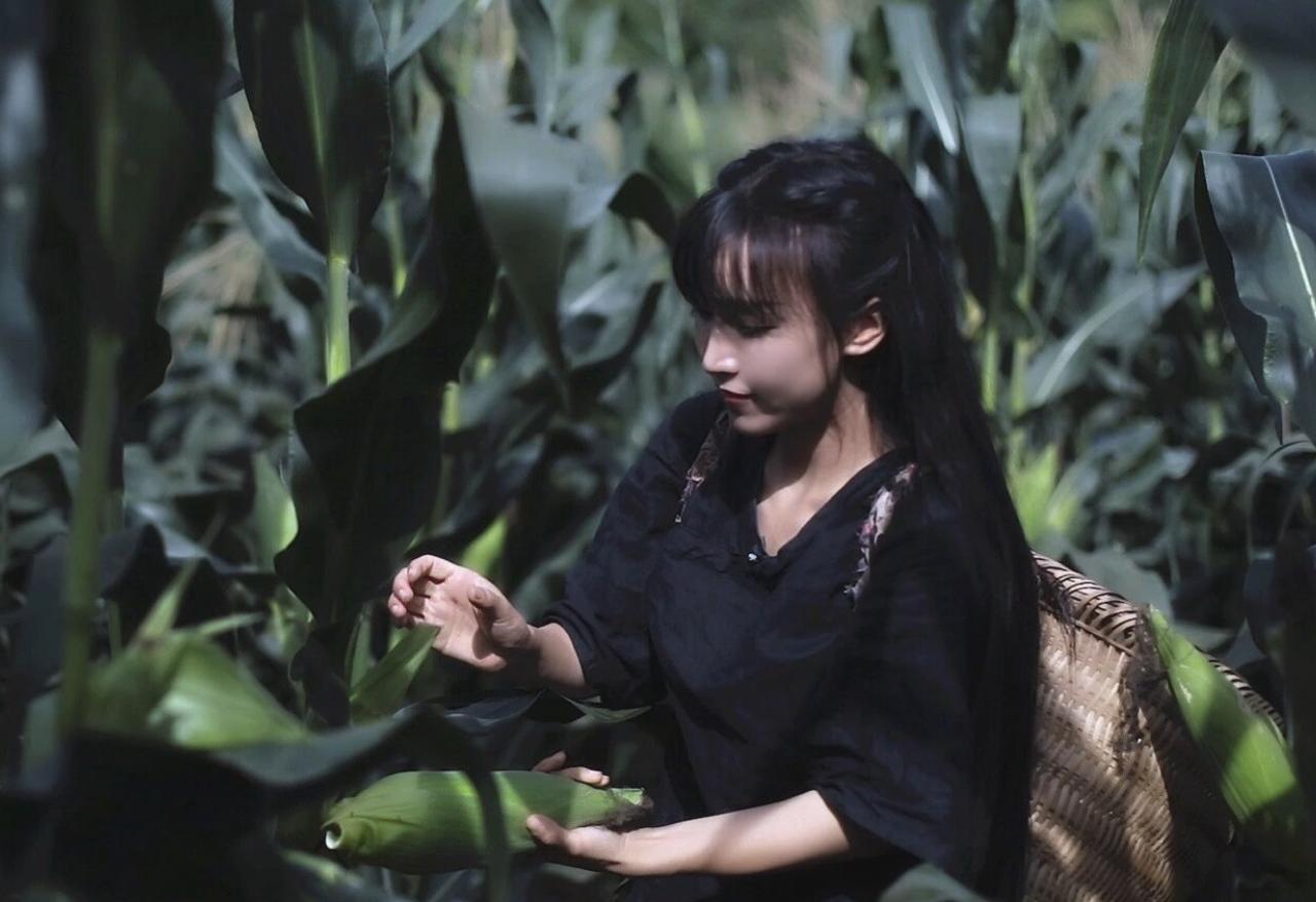 李子柒全平台粉丝过亿，仅国外粉丝就超过2000万。
为什么她有如此大的吸引力呢？