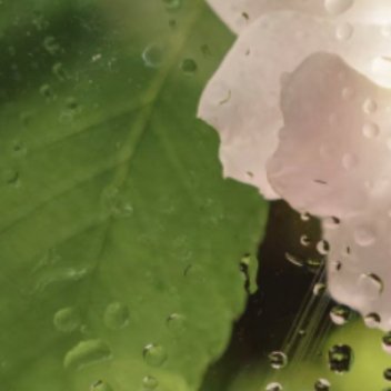 每日一善  每日一善   阳光信用 斗志和干劲很重要，但更重要的，是不断坚持的努