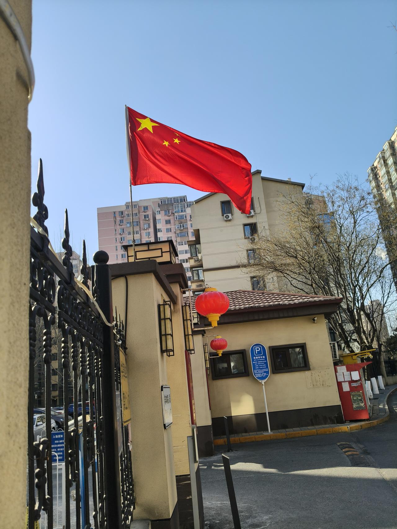 北京的春天还是很冷的，但雨水后，看到小绿植的勃勃生机！
忍过了寒冬
雨水后气温回