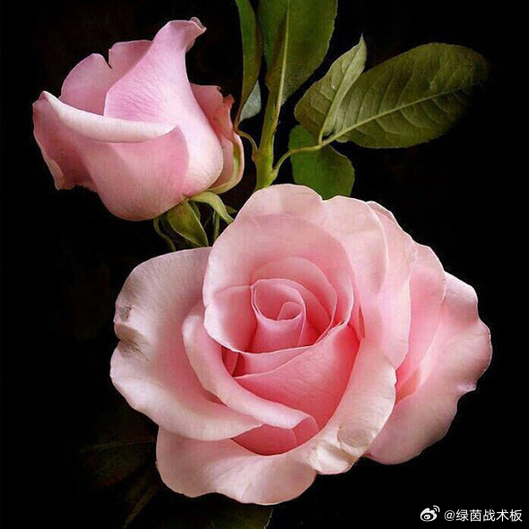 30s转发 你心里所想即将会实现~ 