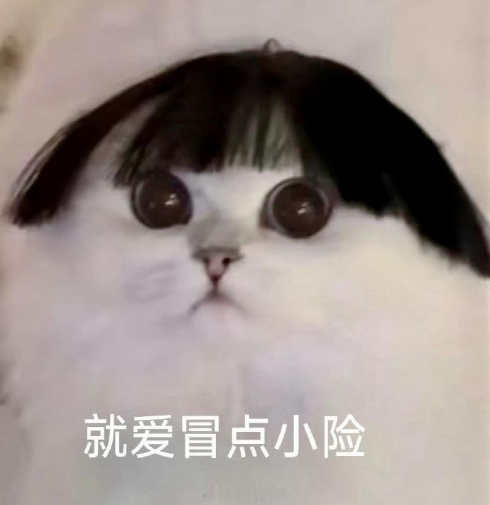 星盘里面
什么天蝎摩羯白羊狮子元素重的
你就用儿童心理学对付
一用一个准，包的