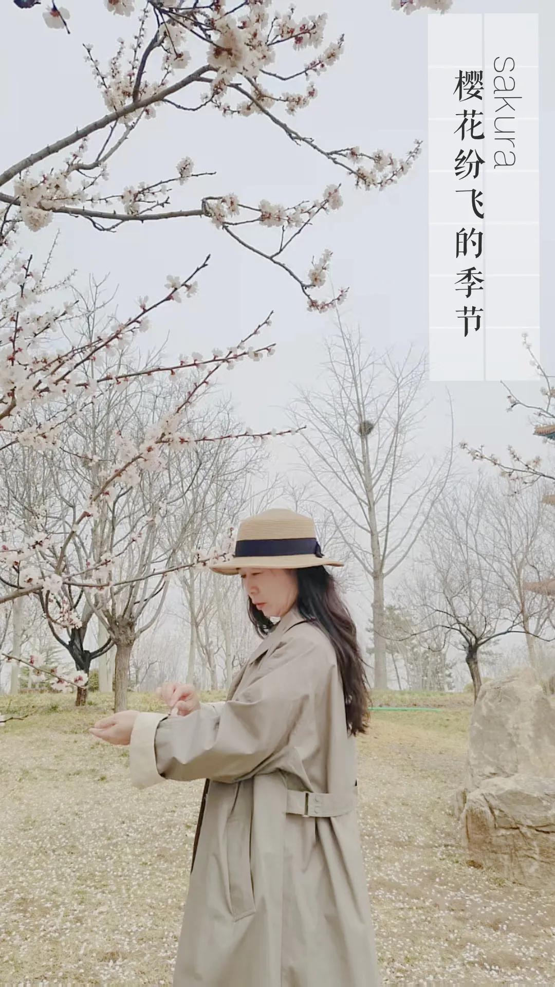 常说，四时之景，无不可爱。可只有到了春天，就会发现一年四季最爱的还是春天。春日回