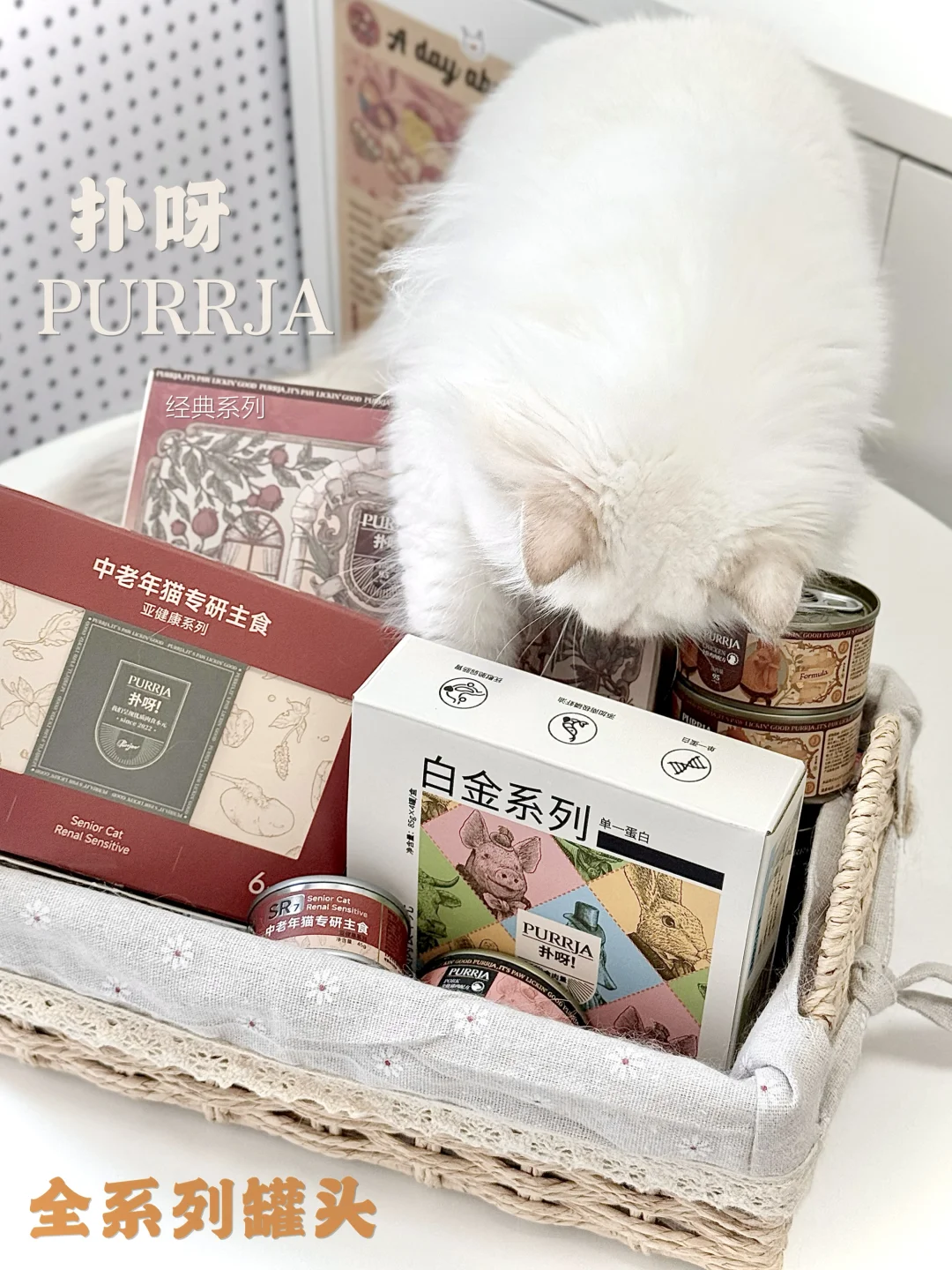 Purrja全系列🟤颜值实力双到位的主食罐罐