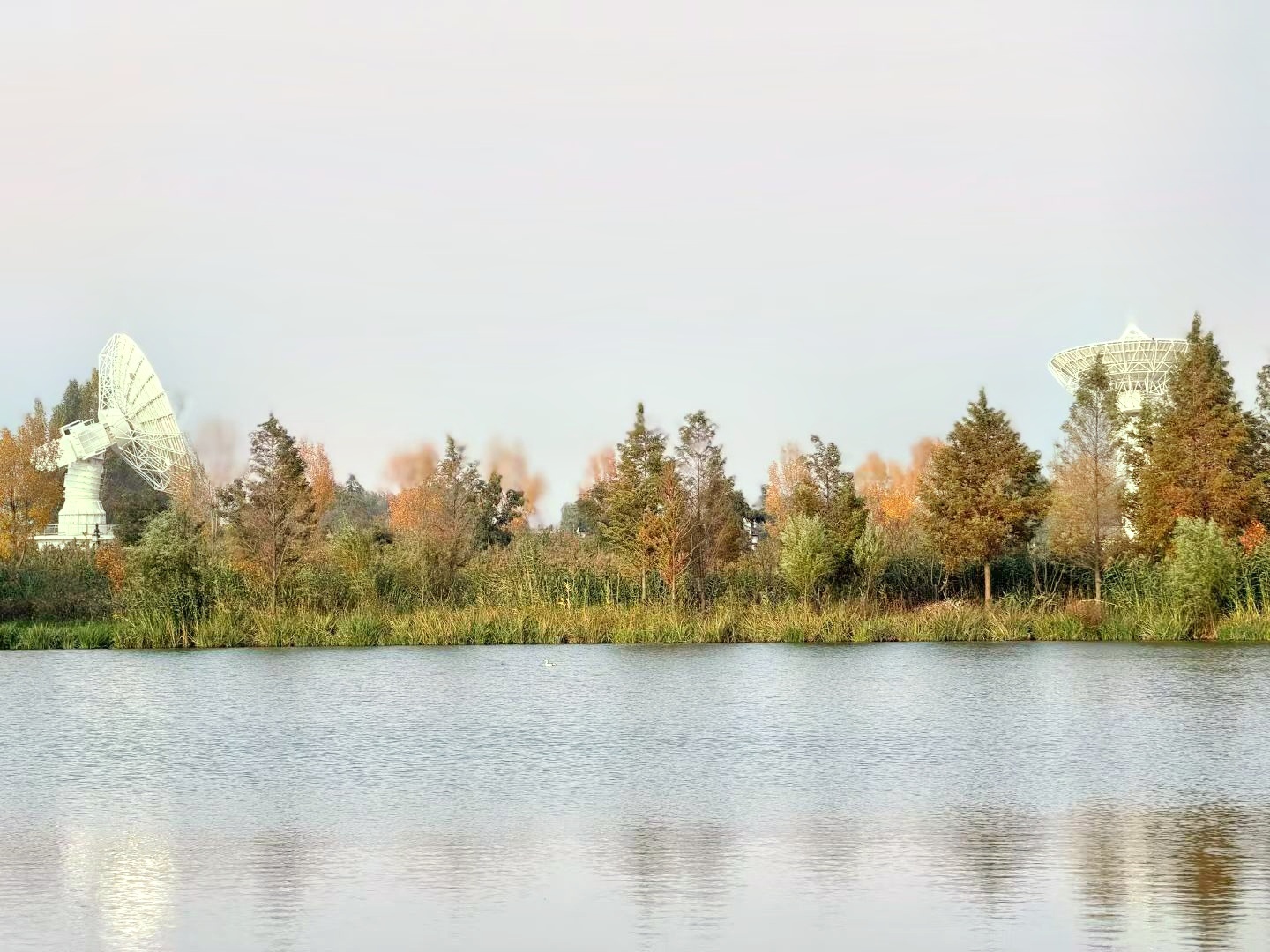 请问有没有能够帮助我把word版报告格式按照论文或者投标文件要求进行重新整理的a