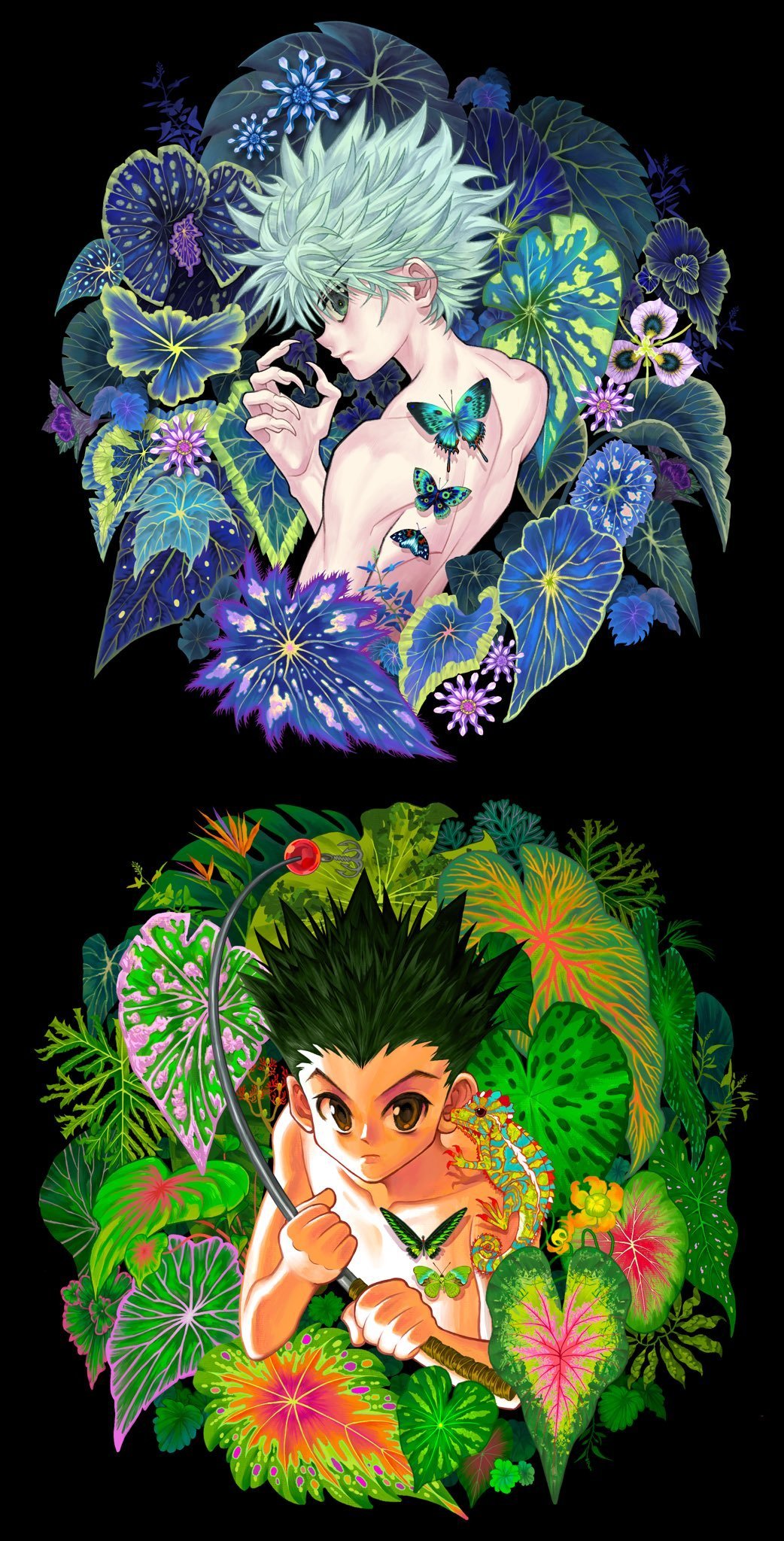 #全职猎人# 小杰和奇犽X:Flora39553099#漫视界企划##开学开新谷