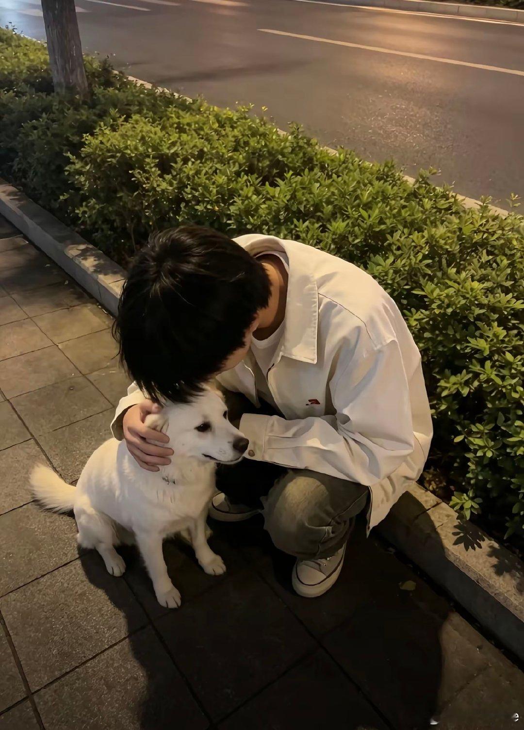 爱猫爱狗爱瓜爱我。 