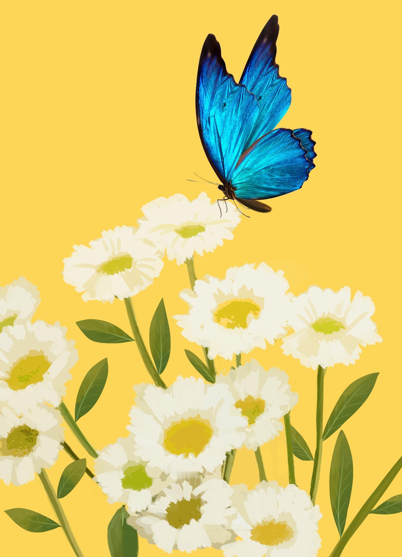 你所有的感情痛苦，都源于这一个思维陷阱！

有位读者问：“为什么我们能看清别人的